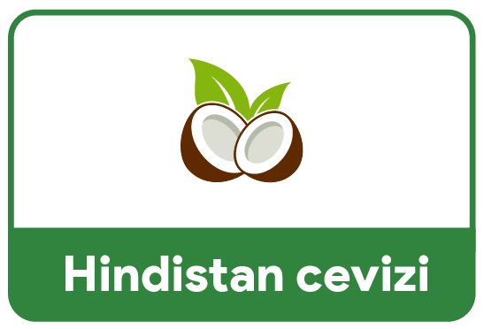 hindistan-cevizi-icerik