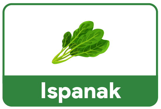 ispanak-icerik